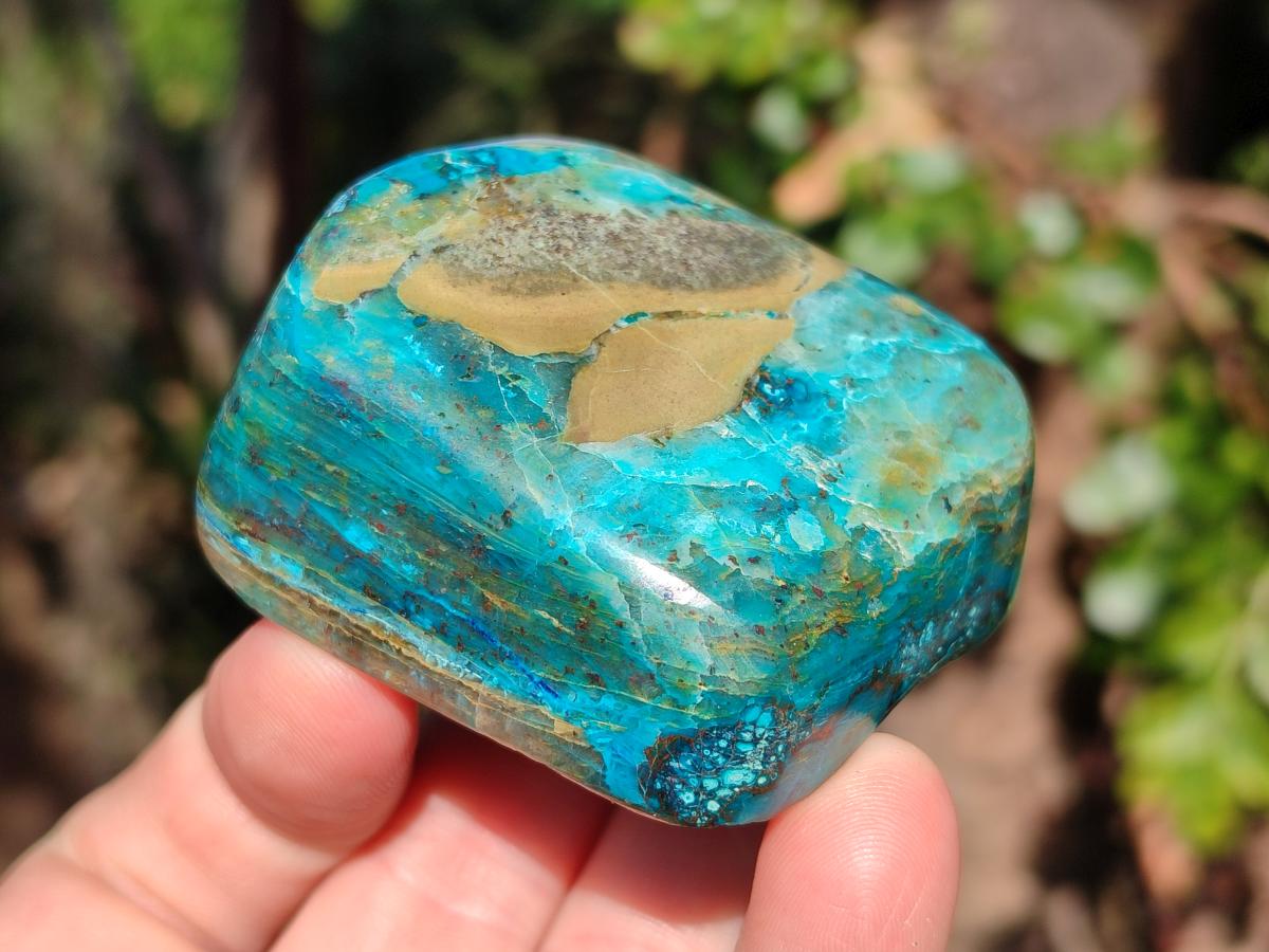 Polished Shattuckite Free Forms x 12 From Kaokoveld, Namibia - Toprock Gemstones and Minerals 