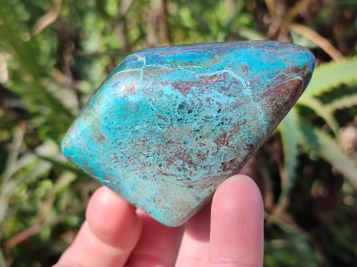 Polished Shattuckite Free Forms x 12 From Kaokoveld, Namibia - Toprock Gemstones and Minerals 