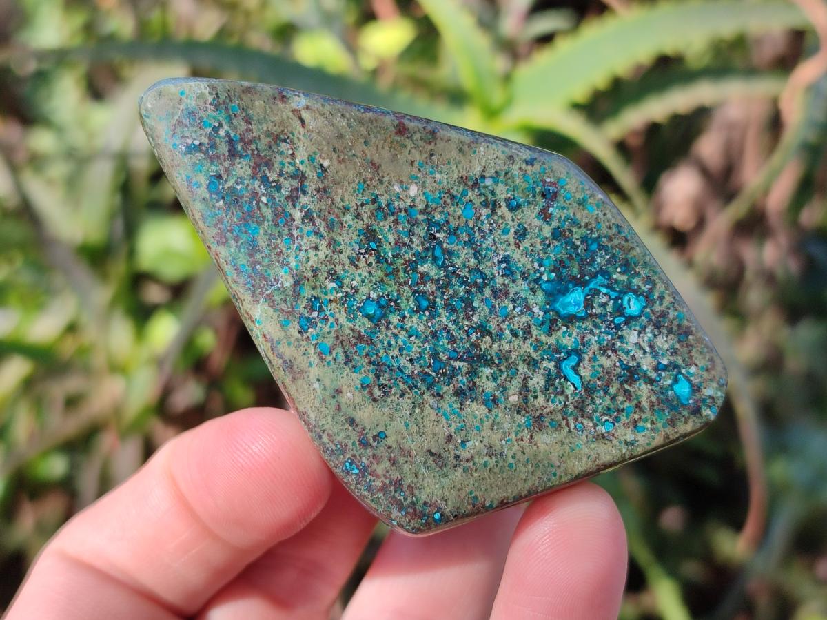Polished Shattuckite Free Forms x 12 From Kaokoveld, Namibia - Toprock Gemstones and Minerals 