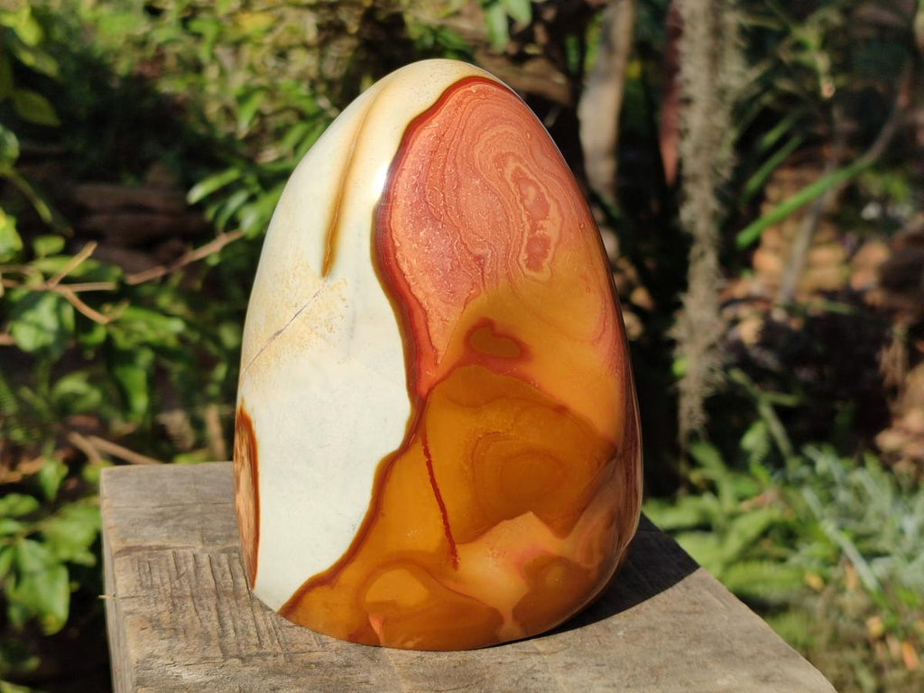 Polished Large Polychrome Jasper Standing Display Piece x 1 From NW Coast, Madagascar - Toprock Gemstones and Minerals 