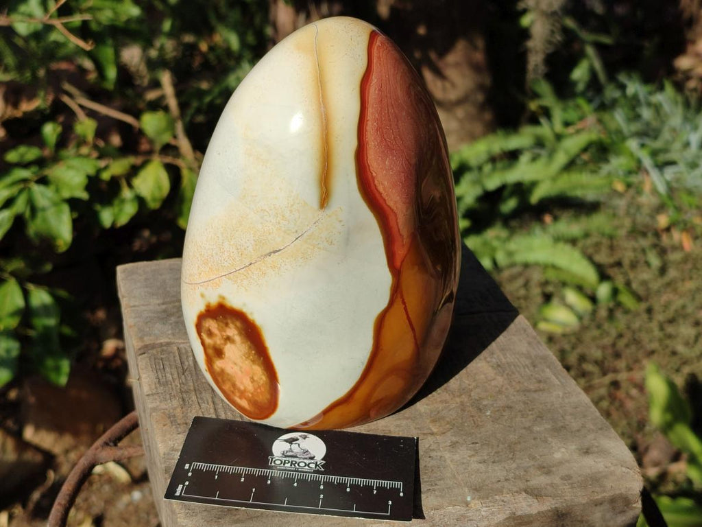 Polished Large Polychrome Jasper Standing Display Piece x 1 From NW Coast, Madagascar - Toprock Gemstones and Minerals 