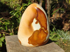 Polished Large Polychrome Jasper Standing Display Piece x 1 From NW Coast, Madagascar - Toprock Gemstones and Minerals 