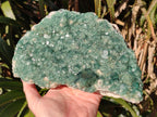 Natural Large Green Cubic Fluorite Specimen x 1 From Mandrosonoro, Madagascar - Toprock Gemstones and Minerals 