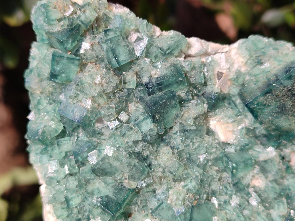Natural Large Green Cubic Fluorite Specimen x 1 From Mandrosonoro, Madagascar - Toprock Gemstones and Minerals 