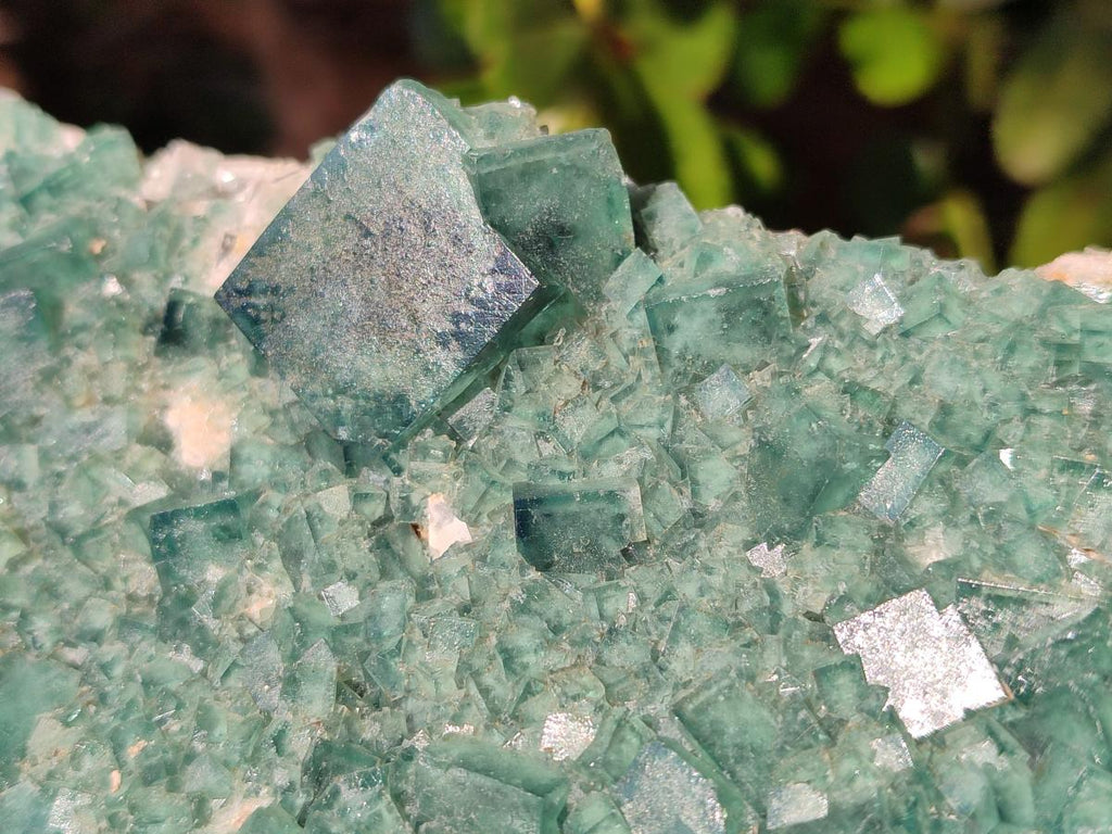 Natural Large Green Cubic Fluorite Specimen x 1 From Mandrosonoro, Madagascar - Toprock Gemstones and Minerals 