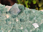 Natural Large Green Cubic Fluorite Specimen x 1 From Mandrosonoro, Madagascar - Toprock Gemstones and Minerals 