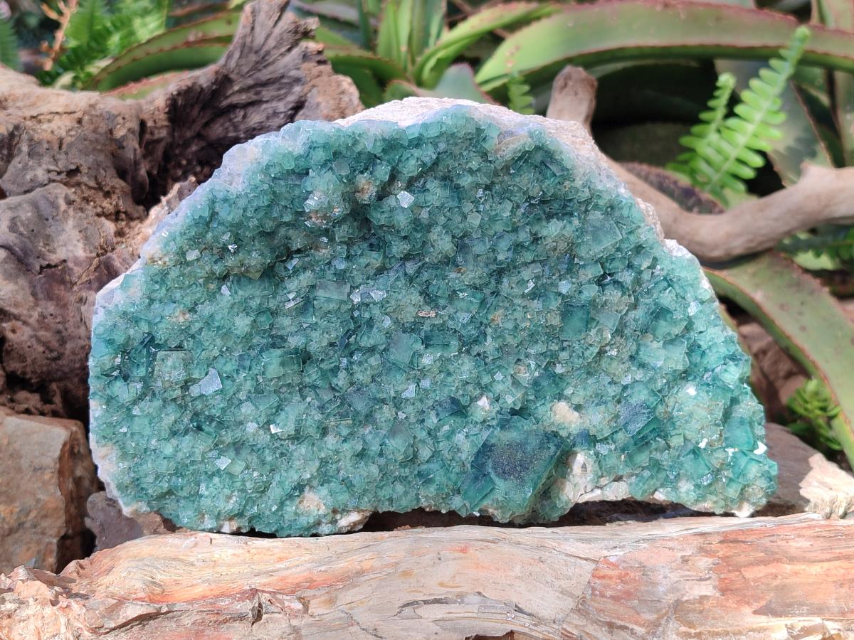 Natural Large Green Cubic Fluorite Specimen x 1 From Mandrosonoro, Madagascar - Toprock Gemstones and Minerals 