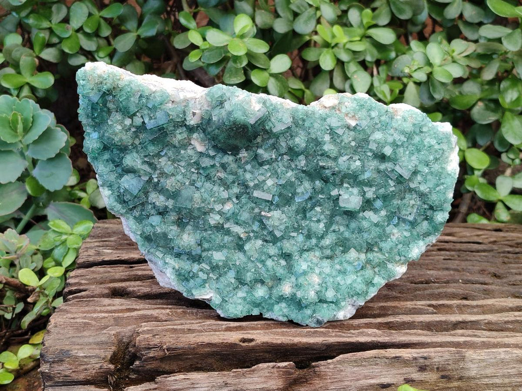 Natural Large Green Cubic Fluorite Specimen x 1 From Mandrosonoro, Madagascar - Toprock Gemstones and Minerals 
