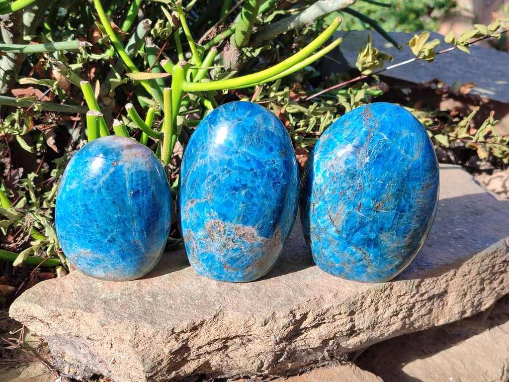 Polished Blue Apatite Standing Display Pieces x 3 From Betroka, Madagascar - Toprock Gemstones and Minerals 