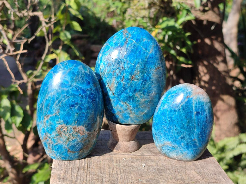 Polished Blue Apatite Standing Display Pieces x 3 From Betroka, Madagascar - Toprock Gemstones and Minerals 