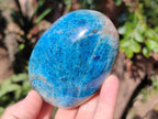 Polished Blue Apatite Standing Display Pieces x 3 From Betroka, Madagascar - Toprock Gemstones and Minerals 