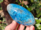 Polished Blue Apatite Standing Display Pieces x 3 From Betroka, Madagascar - Toprock Gemstones and Minerals 