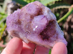 Natural Spirit Quartz and Ametrine Crystals and Clusters x 20 From Boekenhouthoek, South Africa - Toprock Gemstones and Minerals 