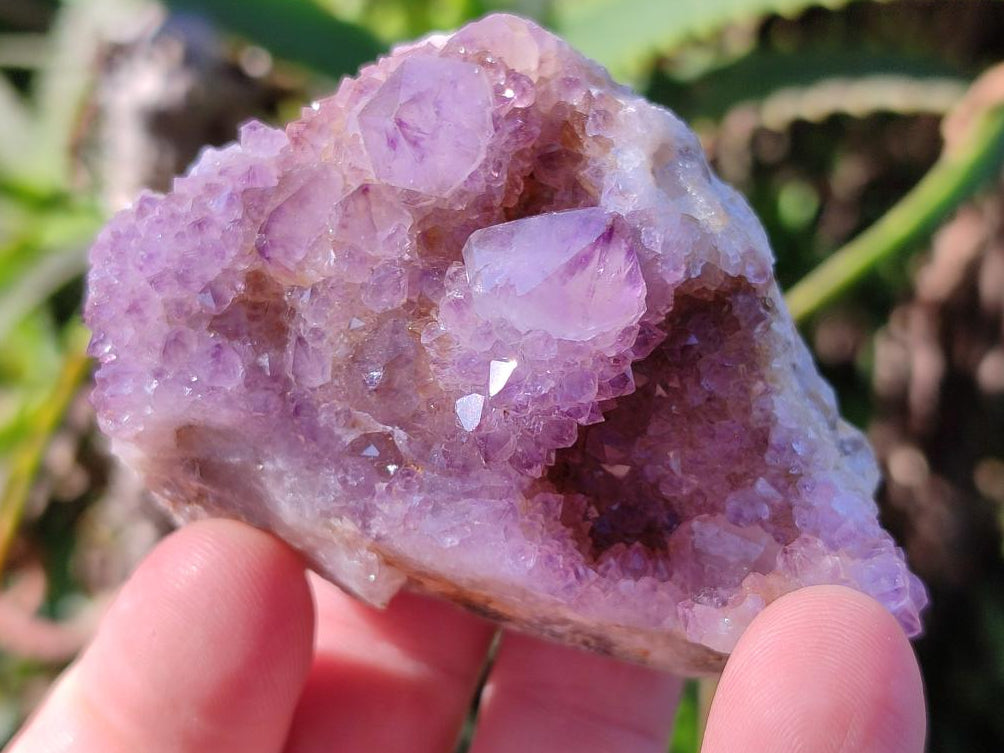 Natural Spirit Quartz and Ametrine Crystals and Clusters x 20 From Boekenhouthoek, South Africa - Toprock Gemstones and Minerals 