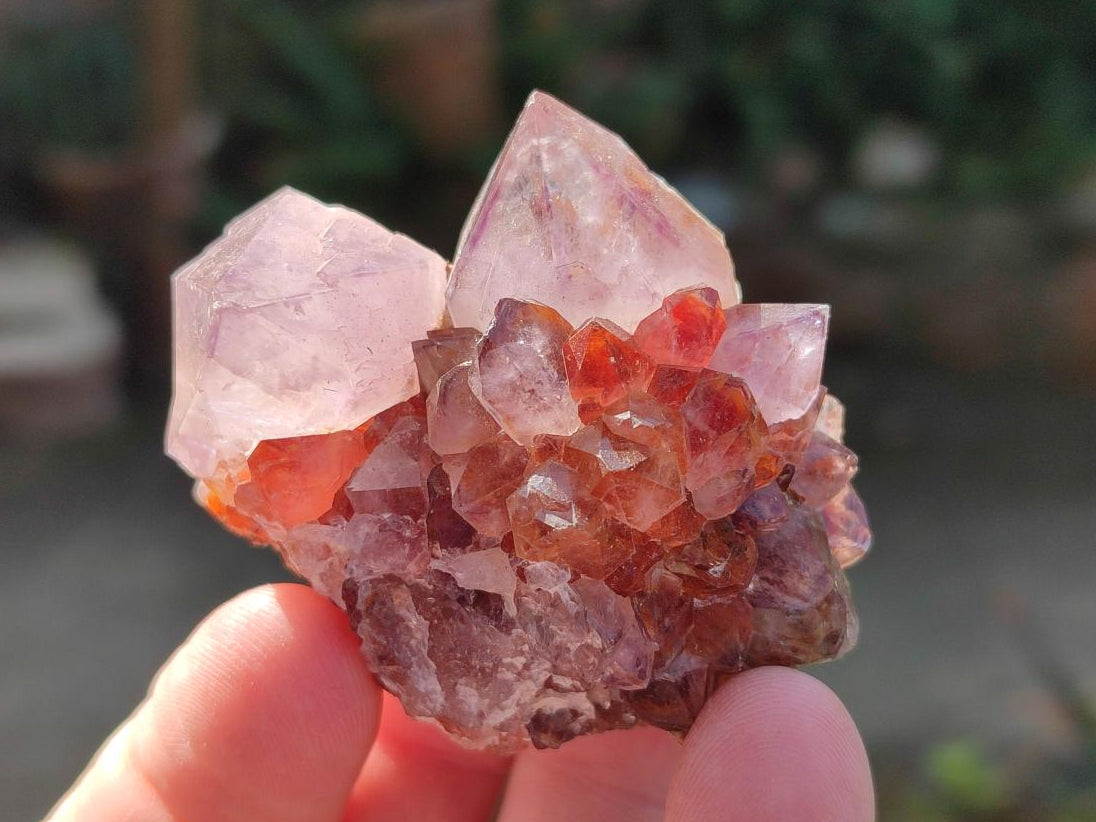 Natural Spirit Quartz and Ametrine Crystals and Clusters x 20 From Boekenhouthoek, South Africa - Toprock Gemstones and Minerals 