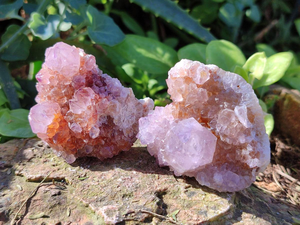 Natural Spirit Quartz and Ametrine Crystals and Clusters x 20 From Boekenhouthoek, South Africa - Toprock Gemstones and Minerals 