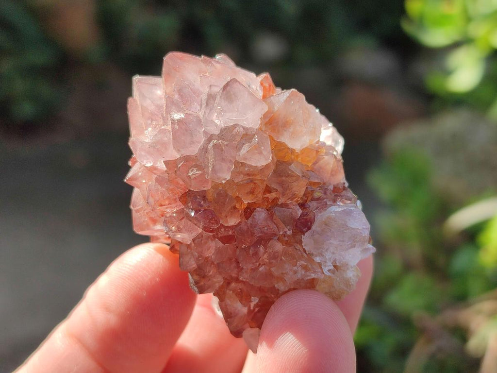 Natural Spirit Quartz and Ametrine Crystals and Clusters x 20 From Boekenhouthoek, South Africa - Toprock Gemstones and Minerals 