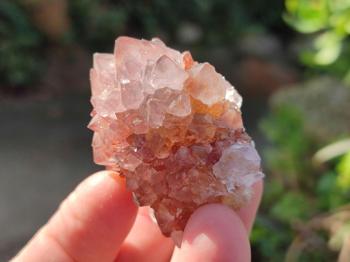 Natural Spirit Quartz and Ametrine Crystals and Clusters x 20 From Boekenhouthoek, South Africa - Toprock Gemstones and Minerals 