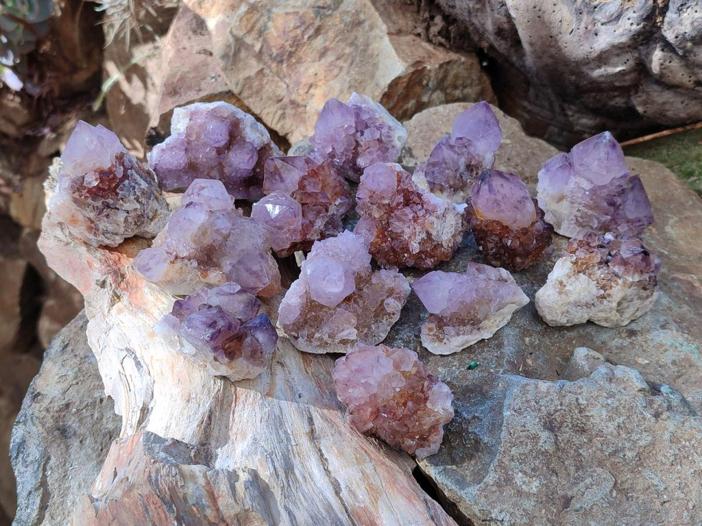 Natural Spirit Quartz and Ametrine Crystals and Clusters x 20 From Boekenhouthoek, South Africa - Toprock Gemstones and Minerals 