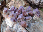 Natural Spirit Quartz and Ametrine Crystals and Clusters x 20 From Boekenhouthoek, South Africa - Toprock Gemstones and Minerals 