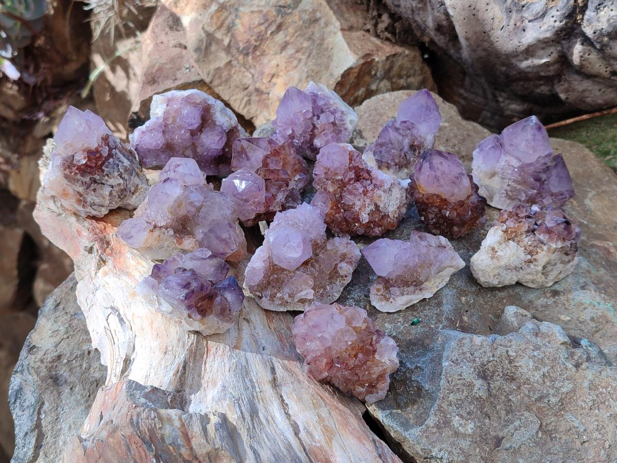 Natural Spirit Quartz and Ametrine Crystals and Clusters x 20 From Boekenhouthoek, South Africa - Toprock Gemstones and Minerals 