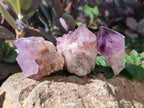 Natural Spirit Quartz and Ametrine Crystals and Clusters x 20 From Boekenhouthoek, South Africa - Toprock Gemstones and Minerals 
