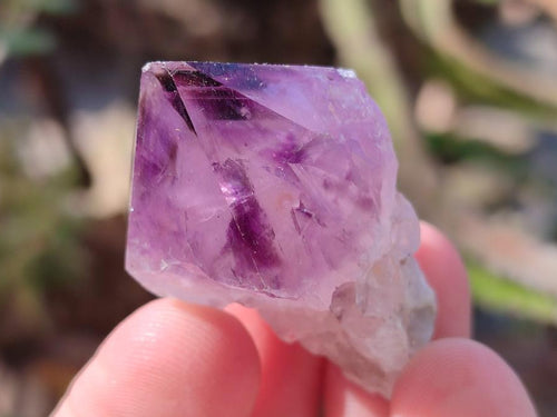 Natural Spirit Quartz and Ametrine Crystals and Clusters x 20 From Boekenhouthoek, South Africa - Toprock Gemstones and Minerals 