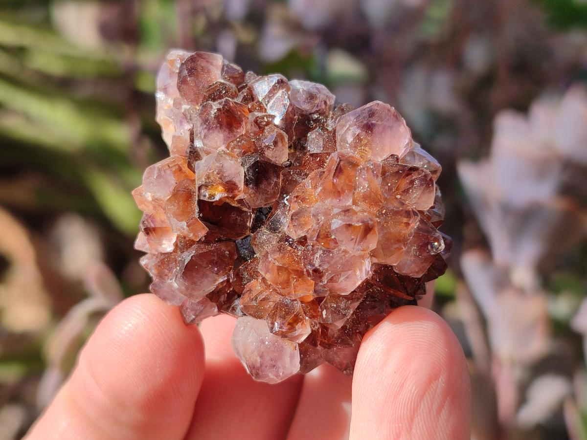 Natural Spirit Quartz and Ametrine Crystals and Clusters x 20 From Boekenhouthoek, South Africa - Toprock Gemstones and Minerals 