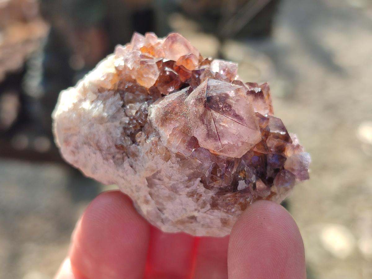 Natural Spirit Quartz and Ametrine Crystals and Clusters x 20 From Boekenhouthoek, South Africa - Toprock Gemstones and Minerals 