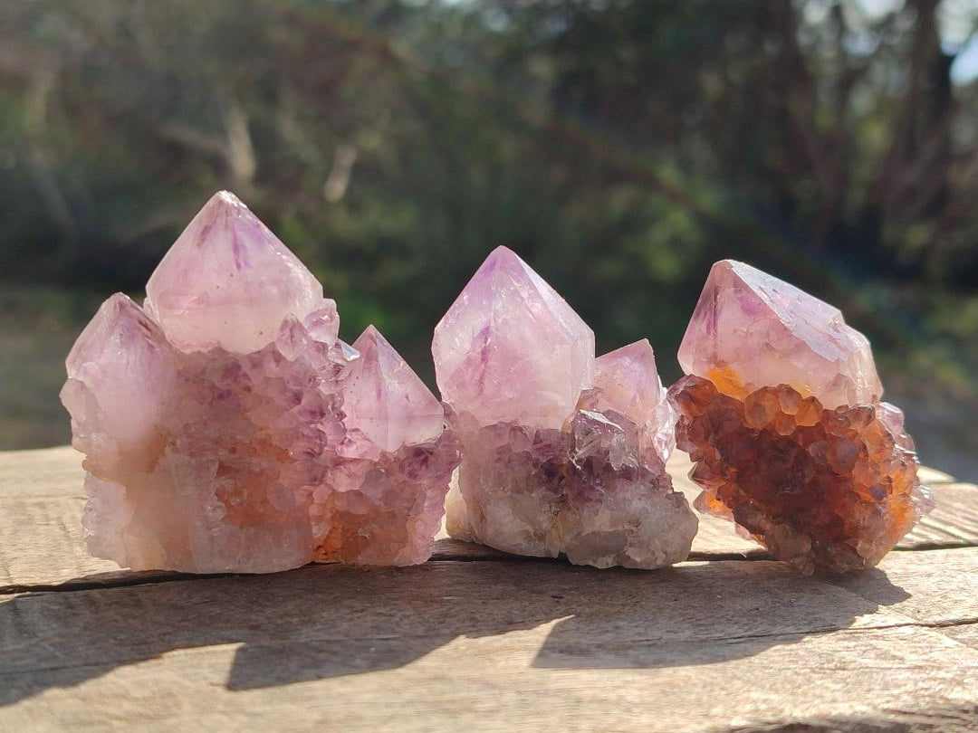 Natural Spirit Quartz and Ametrine Crystals and Clusters x 20 From Boekenhouthoek, South Africa - Toprock Gemstones and Minerals 