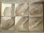 Polished GIrasol Elestial Quartz Display Crystals x 6 From Madagascar - Toprock Gemstones and Minerals 