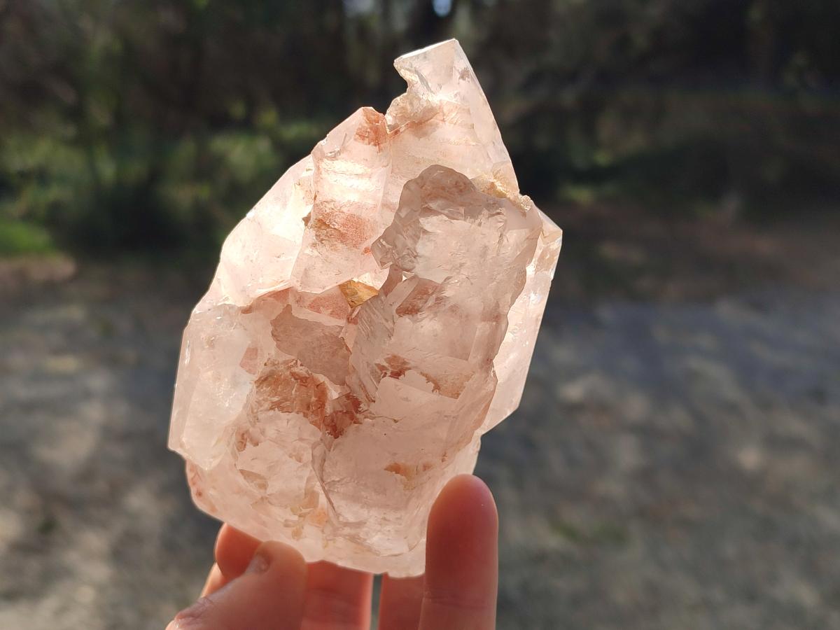 Polished GIrasol Elestial Quartz Display Crystals x 6 From Madagascar - Toprock Gemstones and Minerals 
