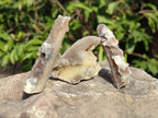 Natural Drusy Fairy Spirit Quartz Crystals x 35 From Boekenhouthoek, South Africa - Toprock Gemstones and Minerals 