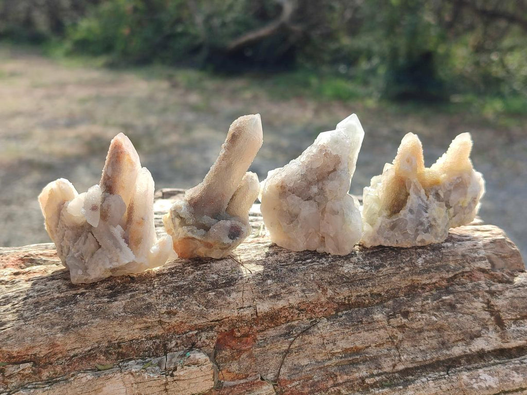Natural Drusy Fairy Spirit Quartz Crystals x 35 From Boekenhouthoek, South Africa - Toprock Gemstones and Minerals 