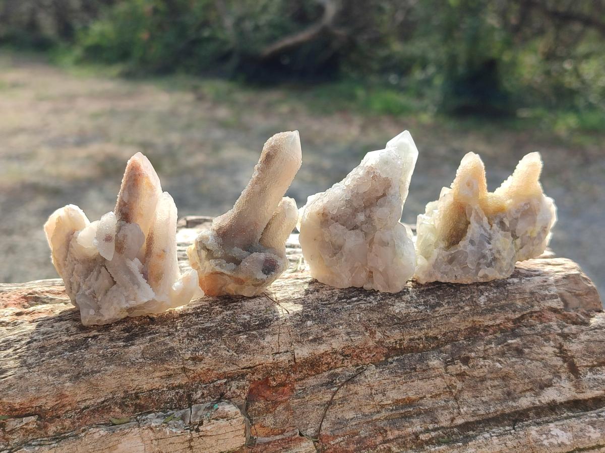 Natural Drusy Fairy Spirit Quartz Crystals x 35 From Boekenhouthoek, South Africa - Toprock Gemstones and Minerals 