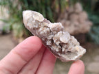 Natural Drusy Fairy Spirit Quartz Crystals x 35 From Boekenhouthoek, South Africa - Toprock Gemstones and Minerals 