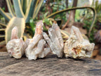 Natural Drusy Fairy Spirit Quartz Crystals x 35 From Boekenhouthoek, South Africa - Toprock Gemstones and Minerals 