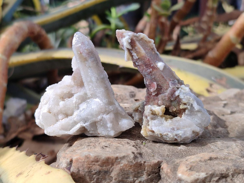 Natural Drusy Fairy Spirit Quartz Crystals x 35 From Boekenhouthoek, South Africa - Toprock Gemstones and Minerals 
