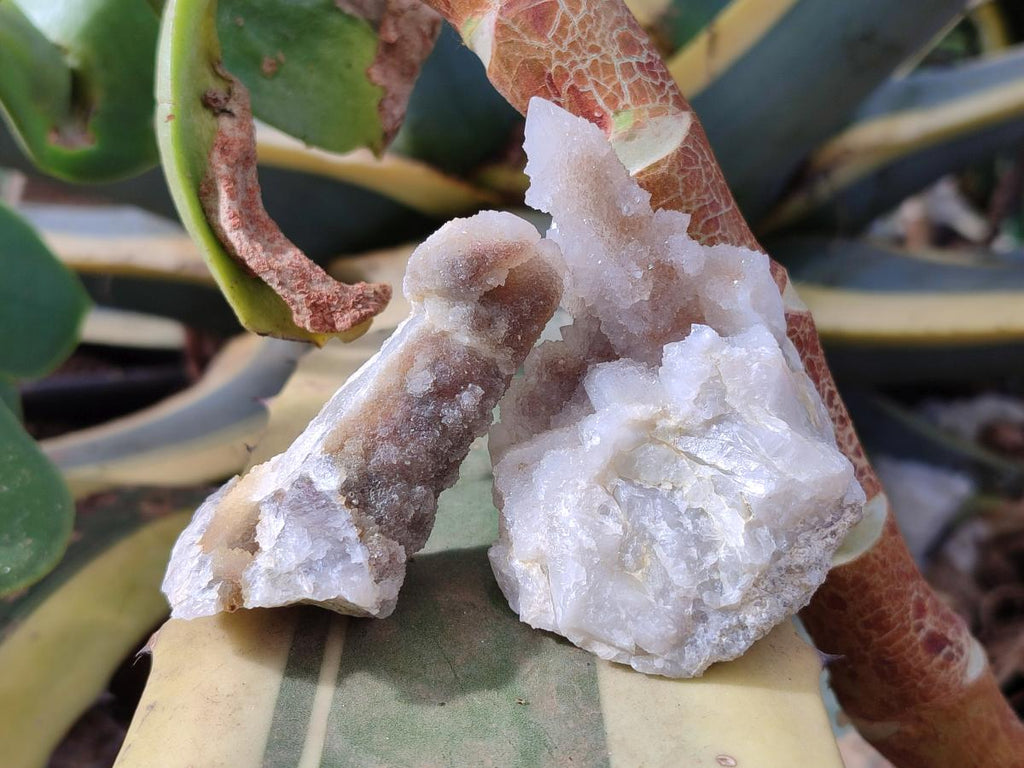 Natural Drusy Fairy Spirit Quartz Crystals x 35 From Boekenhouthoek, South Africa - Toprock Gemstones and Minerals 