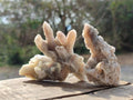 Natural Drusy Fairy Spirit Quartz Crystals x 35 From Boekenhouthoek, South Africa - Toprock Gemstones and Minerals 