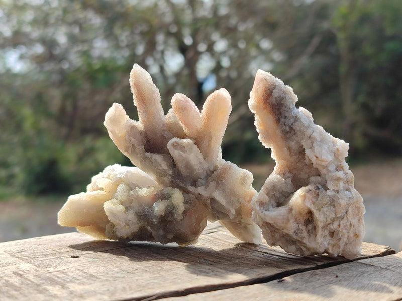 Natural Drusy Fairy Spirit Quartz Crystals x 35 From Boekenhouthoek, South Africa - Toprock Gemstones and Minerals 