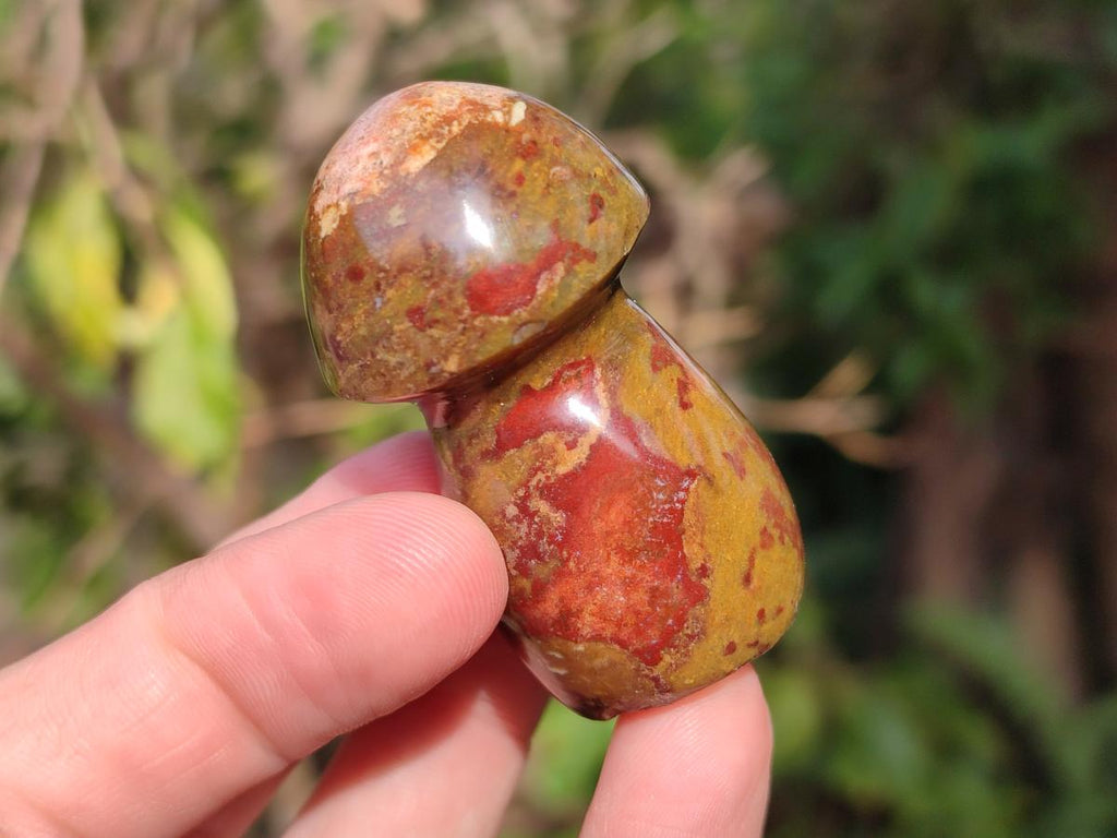 Polished Malagasy Jasper Mushrooms x 24 From Madagascar - Toprock Gemstones and Minerals 