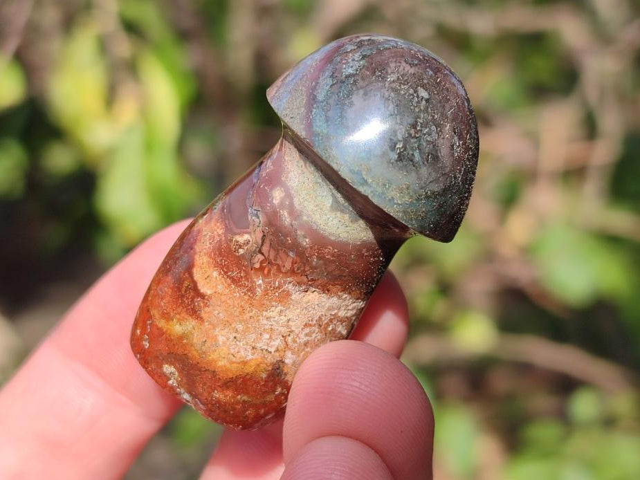 Polished Malagasy Jasper Mushrooms x 24 From Madagascar - Toprock Gemstones and Minerals 