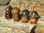 Polished Malagasy Jasper Mushrooms x 24 From Madagascar - Toprock Gemstones and Minerals 