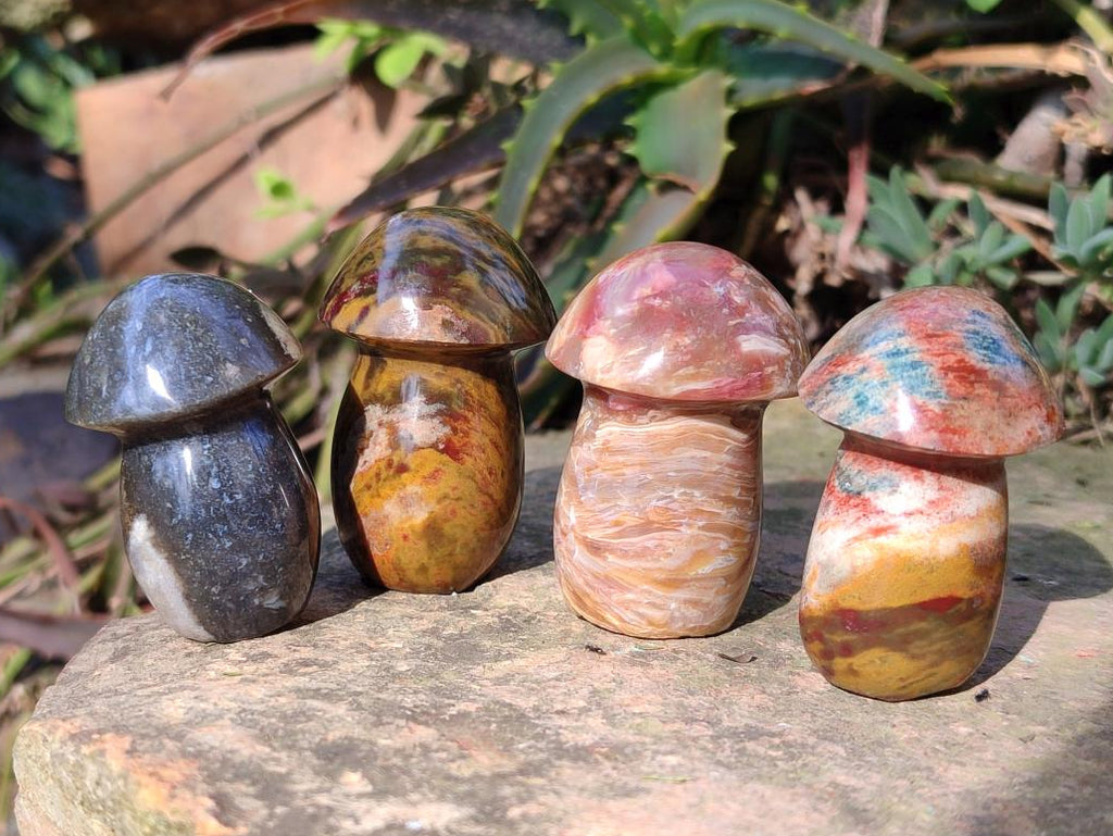 Polished Malagasy Jasper Mushrooms x 24 From Madagascar - Toprock Gemstones and Minerals 