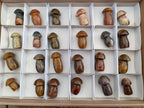Polished Malagasy Jasper Mushrooms x 24 From Madagascar - Toprock Gemstones and Minerals 