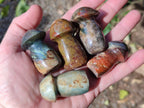 Polished Malagasy Jasper Mushrooms x 24 From Madagascar - Toprock Gemstones and Minerals 