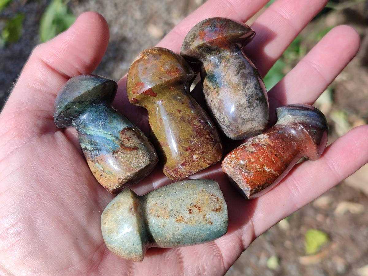 Polished Malagasy Jasper Mushrooms x 24 From Madagascar - Toprock Gemstones and Minerals 