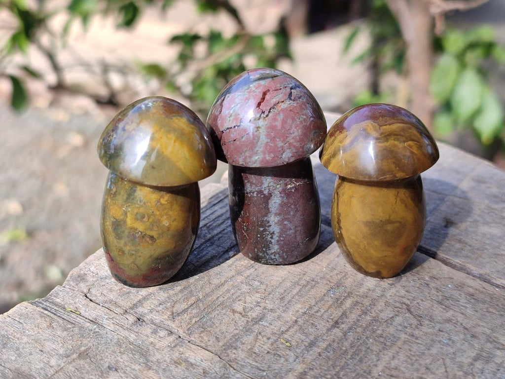 Polished Malagasy Jasper Mushrooms x 24 From Madagascar - Toprock Gemstones and Minerals 