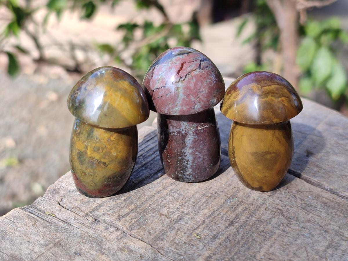 Polished Malagasy Jasper Mushrooms x 24 From Madagascar - Toprock Gemstones and Minerals 